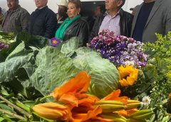 Productores floricultores se declaran listos para esta temporada de Día de Muertos