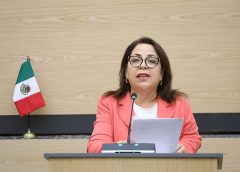 Diputada Soledad Amieva impulsa iniciativa para fortalecer la protección de menores en el entorno digital