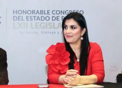 Solicita diputada Delfina Pozos cumplimiento a lo dispuesto en la Ley de Arbolado