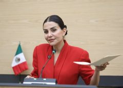 Presenta diputada Nayeli Salvatori iniciativa para incorporar y regular la telemedicina en el Sistema de Salud