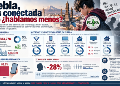 pleca